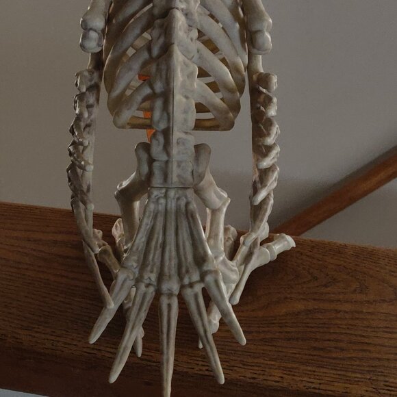 Realistic Rubbery Skeleton Vulture 14" Length x 10" Height - Picture 2 of 5